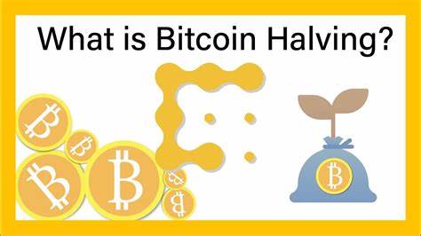 Wie sich die „Halbierung“ auf Bitcoin auswirken könnte – CoinDesk

