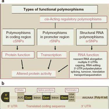 The Many Types of Polymorphism