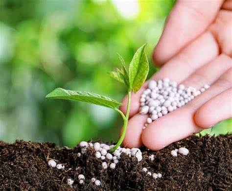 Faced with drought, fertilizer helps grasslands grow strong, global study shows