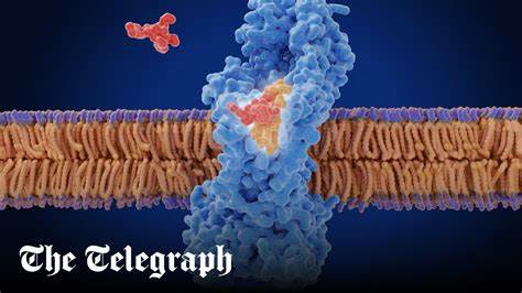 First new antibiotic in 50 years to tackle superbug