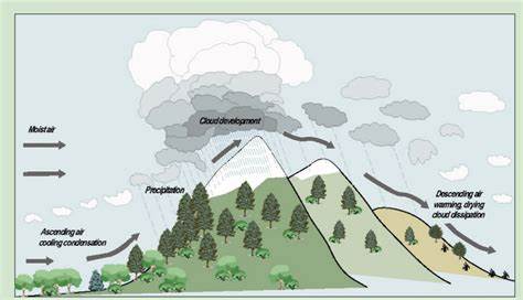 Why climate researchers are taking the temperature of mountain snow