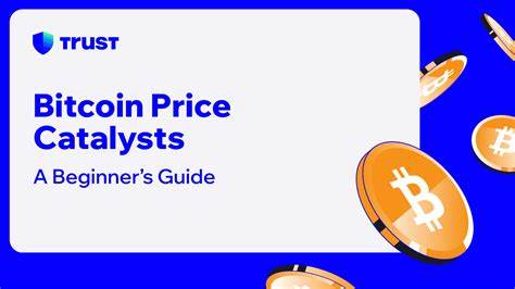 4 Catalysts That Caused Bitcoin to Hit Its Highest Price Yet