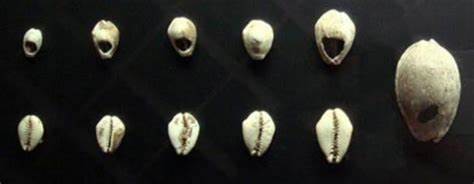 From Shells to Crypto: The Evolution of Money and Currencies - Ancient Origins