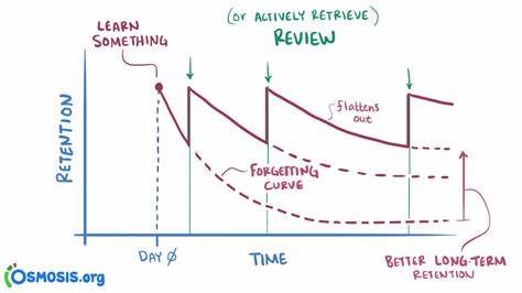Spaced Repetition Algorithm: A Three‐Day Journey from Novice to Expert