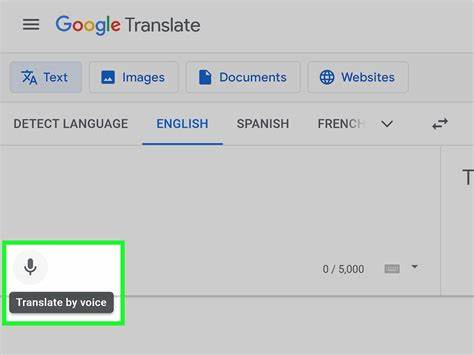 What Google Translate Can Tell Us About Vibecoding