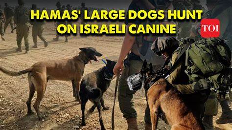 Attack dogs: how Europe supplies Israel with brutal canine weapons