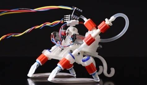 Dutch ingenuity: A brainless soft robot running on air