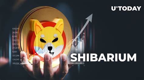 Analysts Say Ethereum and DTX Exchange Will Reach New Peak By January 2025; Shibarium Reaches New Milestone