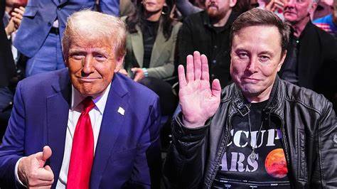  Bitcoin ETFs bleed on Trump-Musk fallout as sentiment turns to fear 