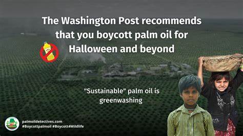 Rethinking the Palm Oil Boycott