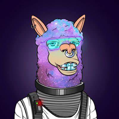 I Accidentally Became a Llama NFT Owner