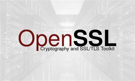 OpenSSL Security Advisory [07 Apr 2014