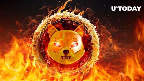 SHIB Burns Rise 100% After Shytoshi Kusama's Recent Bullish Statement - U.Today