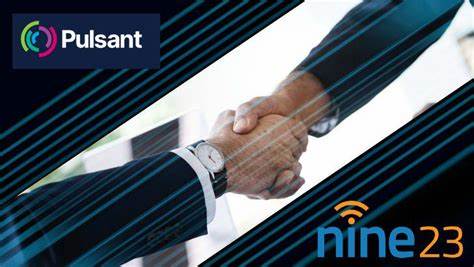 Pulsant and Nine23 offer sovereign service for UK govt, regulated sectors