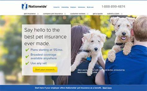 The best pet insurance companies of 2025