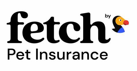 „FETCH BY THE DODO“ PET INSURANCE, ehemals PETPLAN, STARTET – PR Newswire
