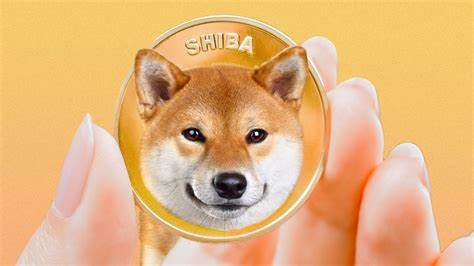 Beloved Kabosu Owner Gets New Shiba Inu Dog, Is This The Next Dogecoin? | Bitcoinist.com - Bitcoinist