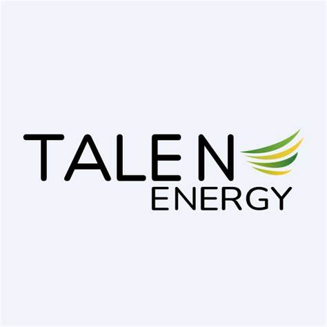 Is Talen Energy (TLN) the Best Young Stock to Buy According to Hedge Funds?