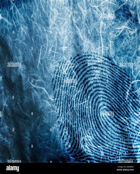 Electronic skin with distinct fingerprint patterns boosts security