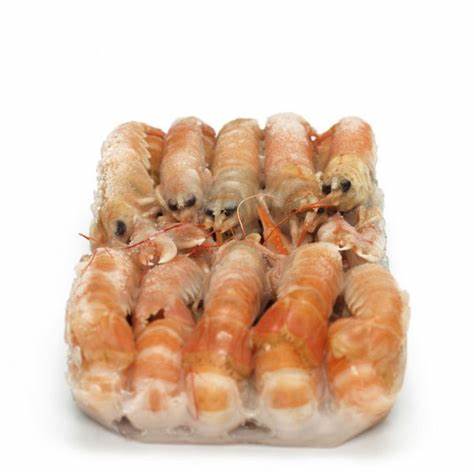 Whisky for frozen prawns – Britain’s £25bn trade deal with India unpacked