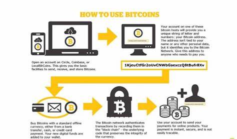 Bitcoin and crypto explained: What beginners need to know