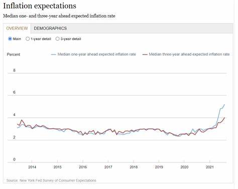 Inflation Expectations Are Steady but Consumers Are More Worried