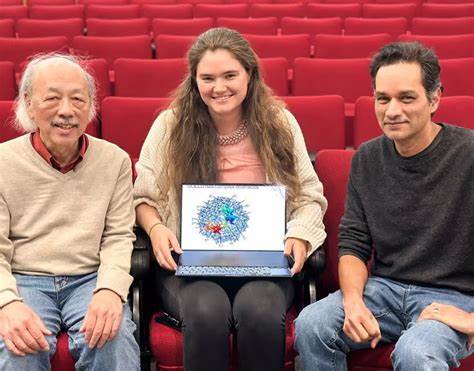 Researchers discover large protein-free RNA structures