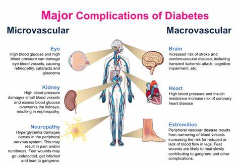 Common sugar substitute may affect brain and blood vessel health