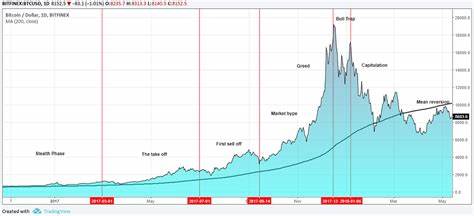 The Role of Speculation in Crypto Markets: Are We in a Bubble?