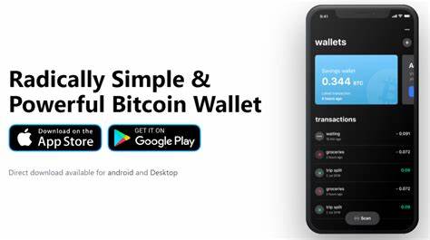larden551/Lightning-Wallet-2025