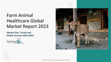 Forecasting Farmed Animal Numbers in 2033