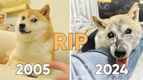 The Doge Death of Privacy