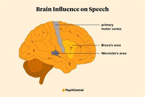 Brain region used for speech decoding also supports BCI cursor control