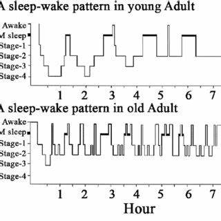 Sleep changes our architecture – NeuralCalculus