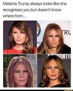 Most Searched Cryptos on GeckoTerminal – Melania Meme, OFFICIAL TRUMP, Dogelon - Inside Bitcoins