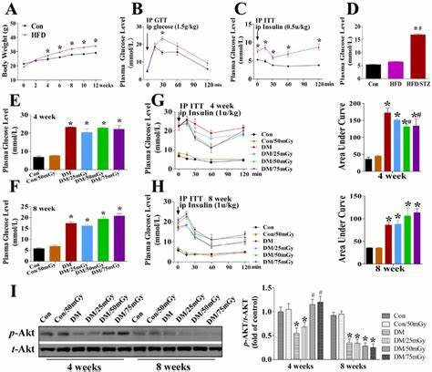 AgRP neuron hyperactivity drives hyperglycemia in mouse model of type 2 diabetes