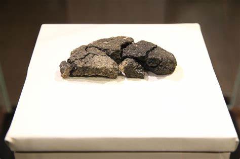 Archaeologists unearth ancient bread that survived underground for 5k years