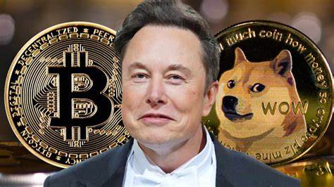 Elon Musk, DOGE and bitcoin - what happened with crypto this week?