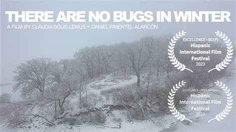 There Are No Bugs, Just TODOs (2020)