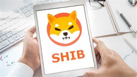 In Shiba Inu investieren | Wie kaufe ich SHIB? - eToro
