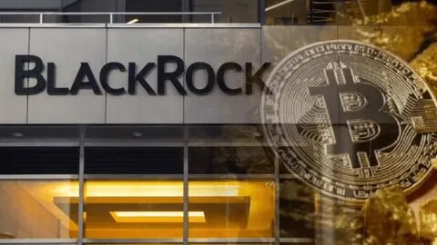 Purchase record for Blackrock's Bitcoin ETF: 12,623 BTC in one day - Cointribune EN