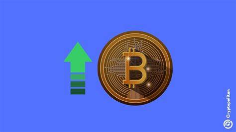 Bitcoin Is the Scarcest Store of Value in the World, Says Bitwise CEO