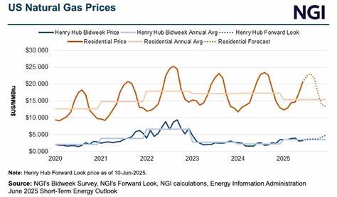 U.S. Natural Gas Futures Pick Up Ahead of Storage Data