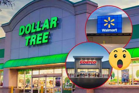 Better Buy Now: A 50/50 Split of Costco and Walmart or Dollar General and Dollar Tree?