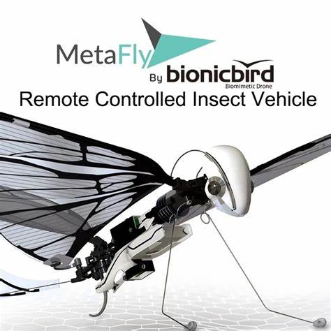Use drones 'size of insects' to commit untraceable murders