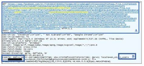 Meta Pixels Case Dismissed by Second Circuit–Solomon vs. Triller