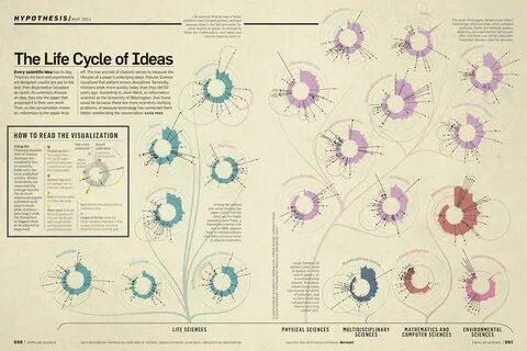 A Mathematical Approach to Life: Visualizing Mortality to Optimize Time