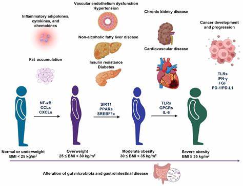 A high-fat diet sets off metabolic dysfunction in cells, leading to weight gain