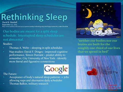 Rethinking Sleep from First Principles