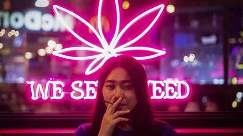 Thailand to recriminalise cannabis as PM vows to get tough on drugs